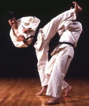 karate1.jpg